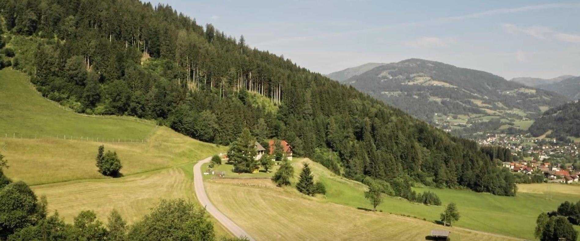 Gasthof Thurnerhof Untertweng 외부 사진
