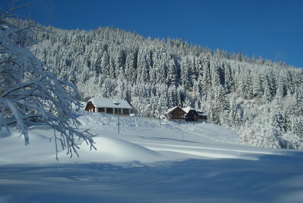 Gasthof Thurnerhof Untertweng 외부 사진